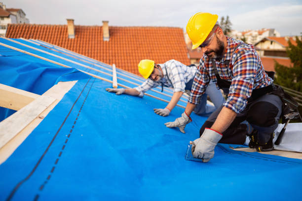 Best Metal Roofing Contractor  in Akron, IN